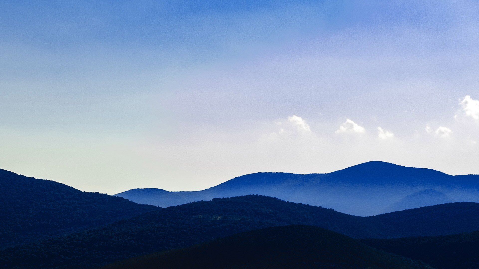 Headerbild